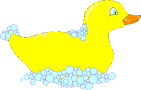 duck.gif (3940 bytes)