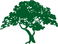 tree.gif (3805 bytes)